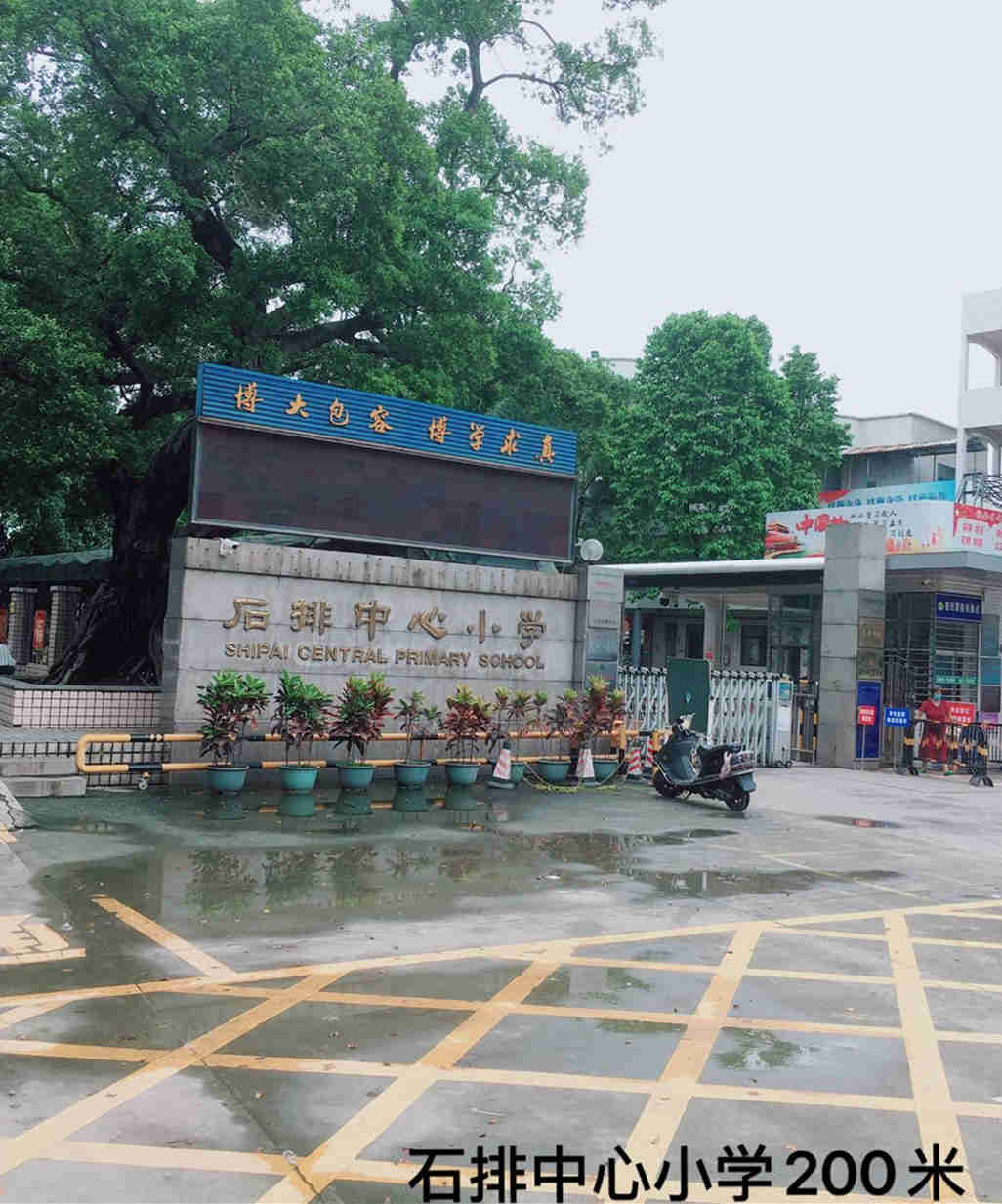 中心学府